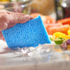 4ocean Biodegradable Sponges