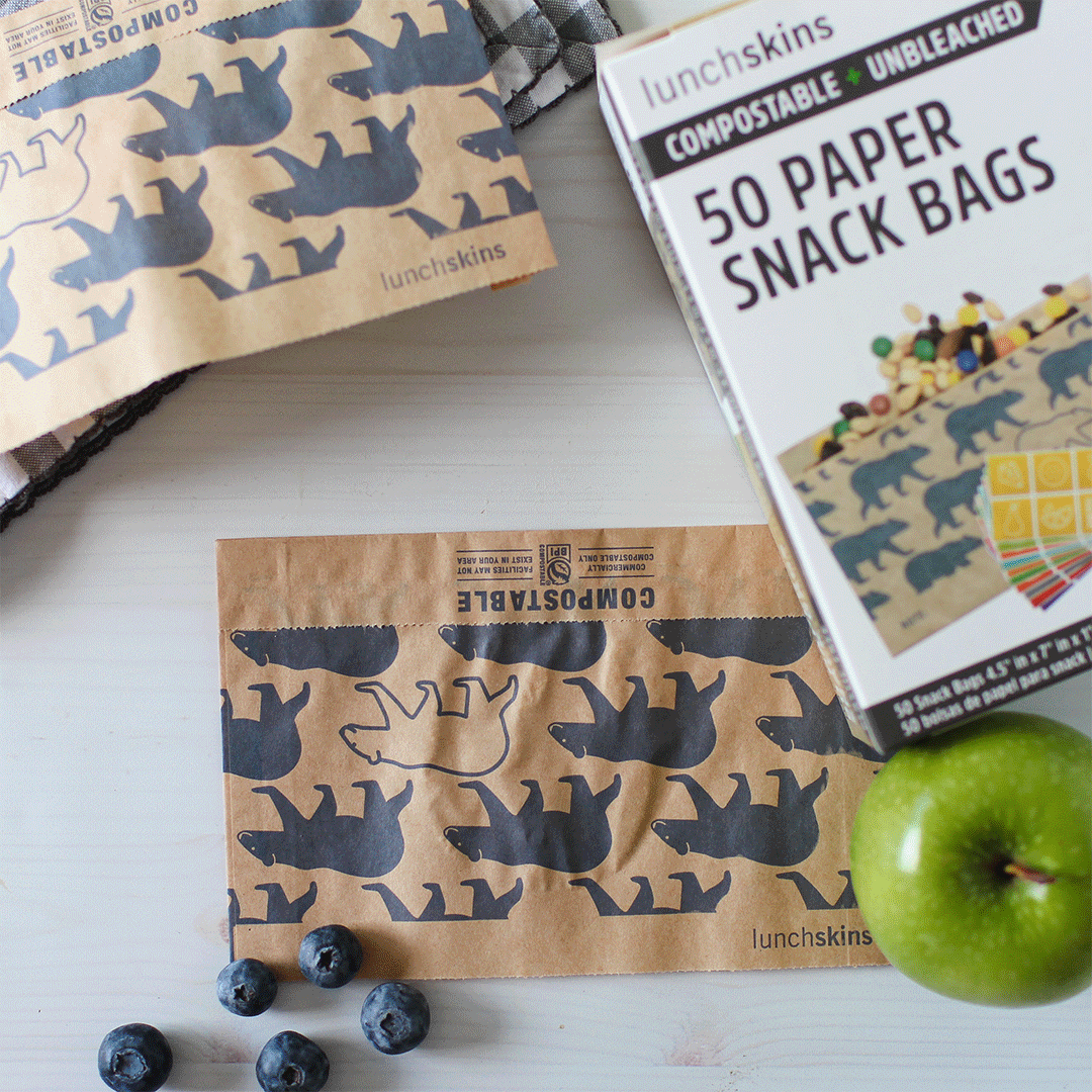 Image of BEARY FUN LUNCH 🐻