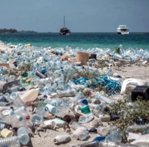 "We just can’t afford to have harmful substances like plastic on the planet".