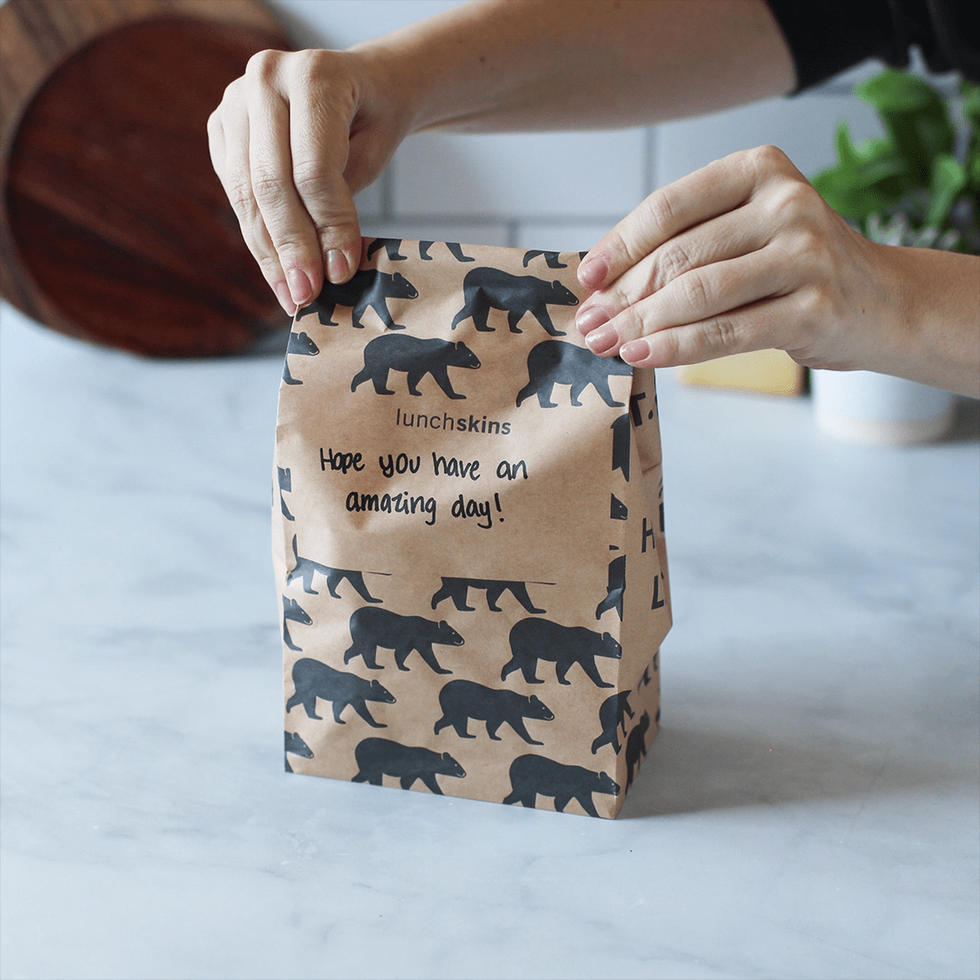 Image of Recyclable Paper Lunch Sacs Variety Pack - Lunchskins