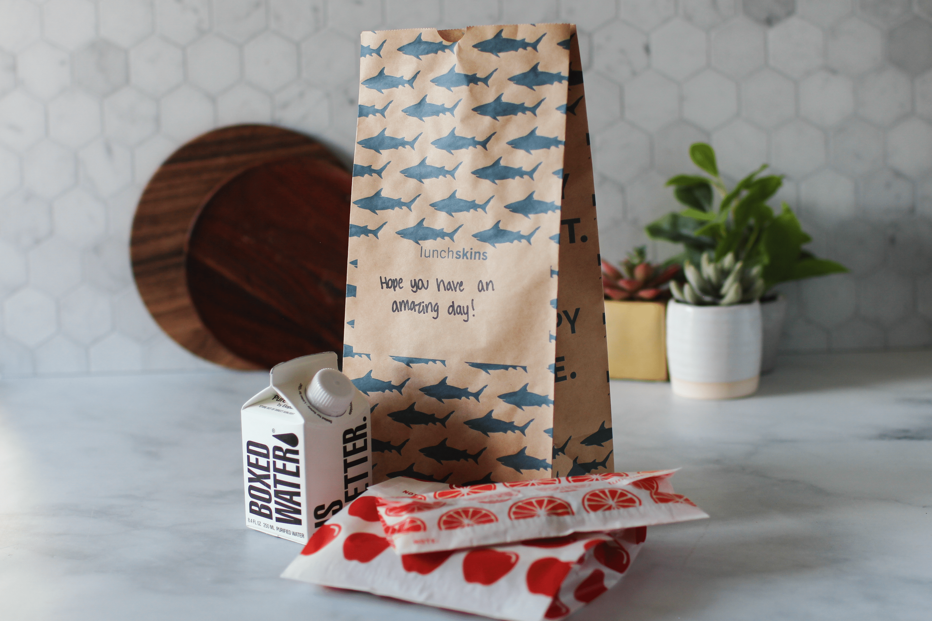 Image of Recyclable Large Lunch Sacs - Lunchskins