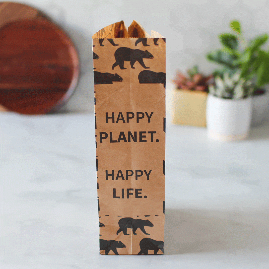 Recyclable Paper Lunch Sacs Variety Pack - Lunchskins