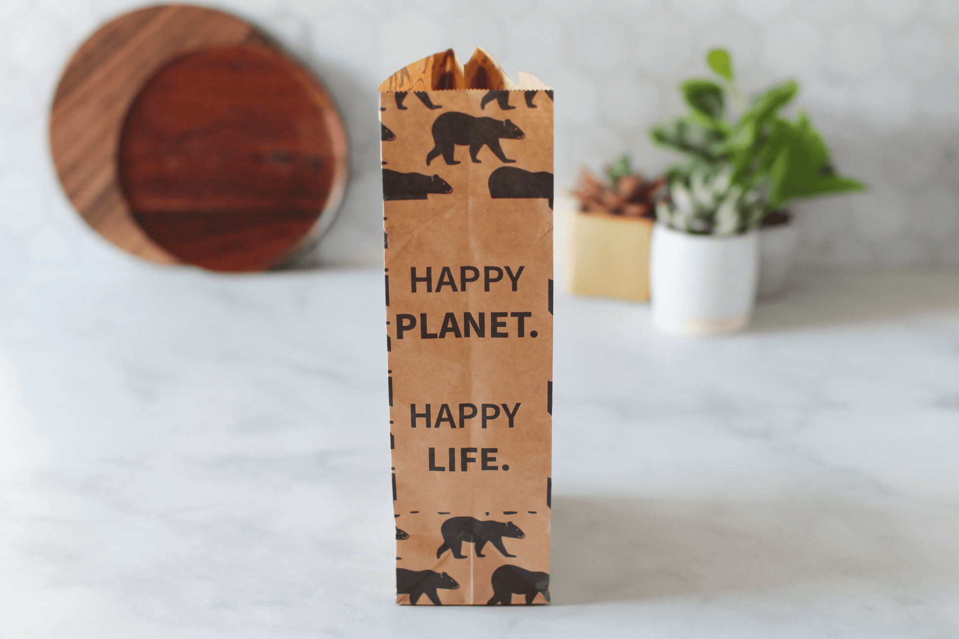 Recyclable Paper Lunch Sacs Variety Pack - Lunchskins