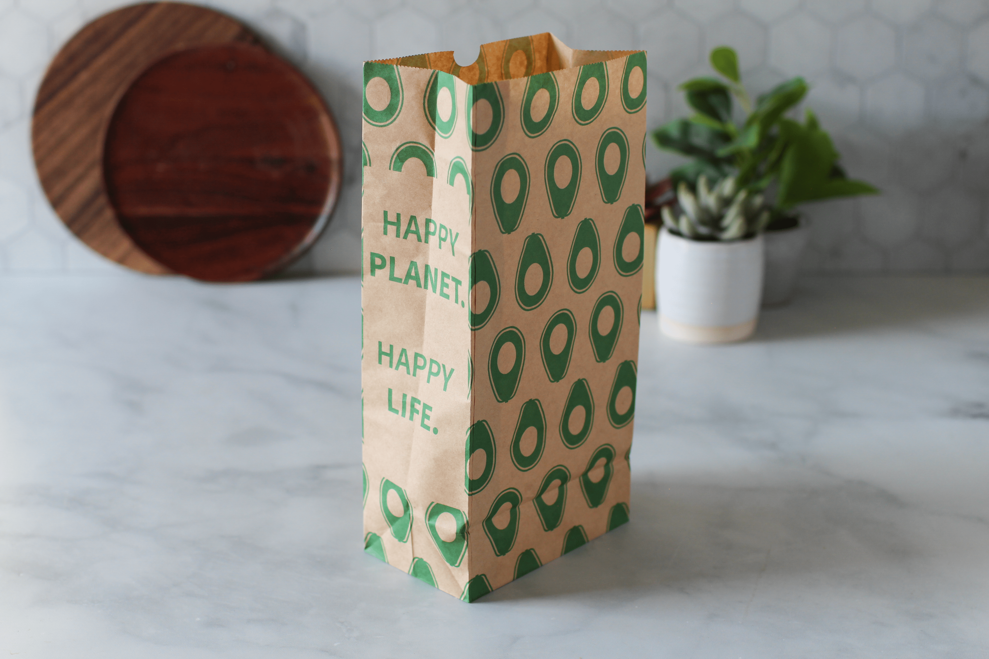 Image of Recyclable Paper Lunch Sacs Variety Pack - Lunchskins