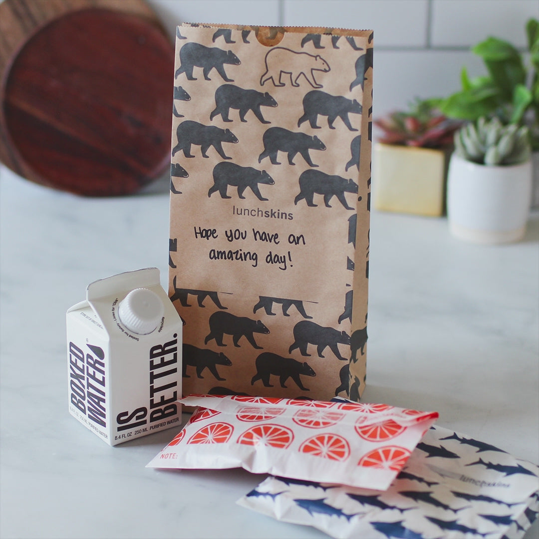 Image of RECYCLABLE LUNCH SACS VARIETY PACK