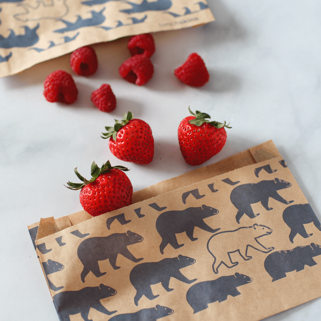 Image of Compostable Paper Snack Bags - Lunchskins