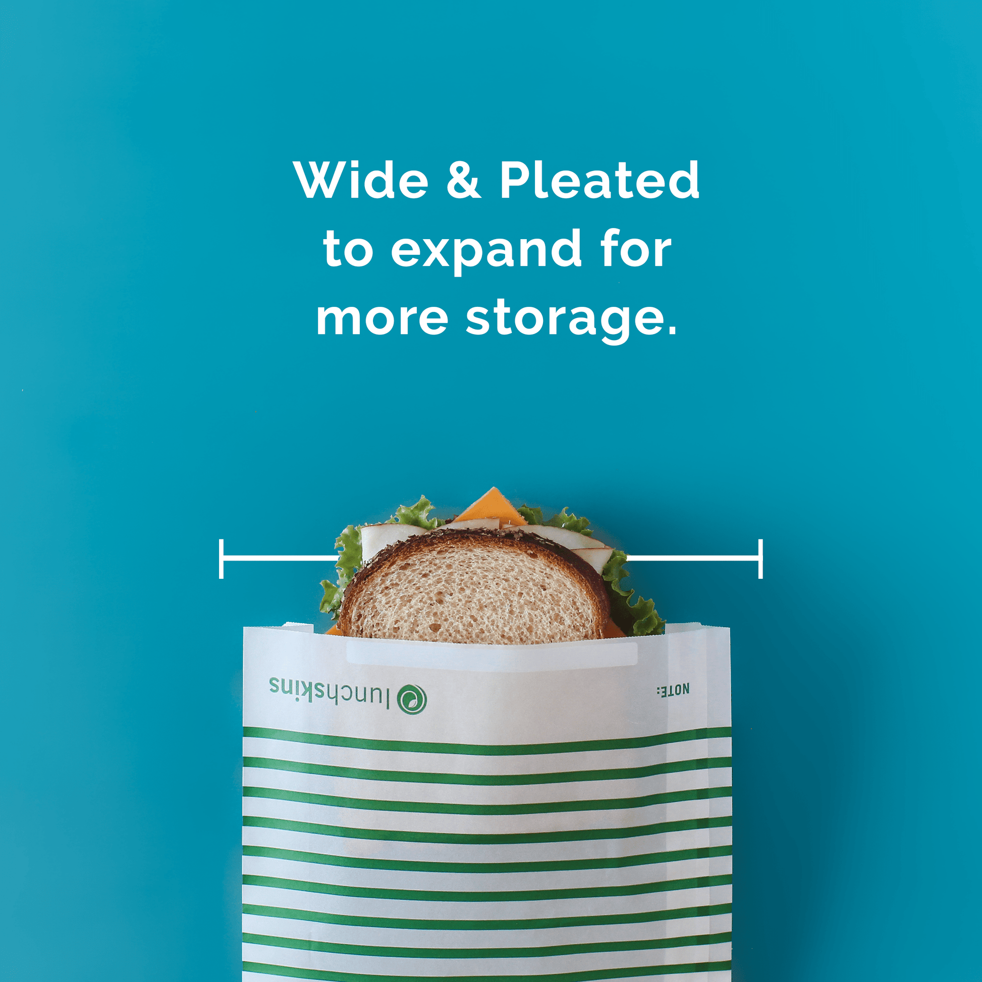 Recyclable Quart (XL) Paper Sandwich Bags - Lunchskins